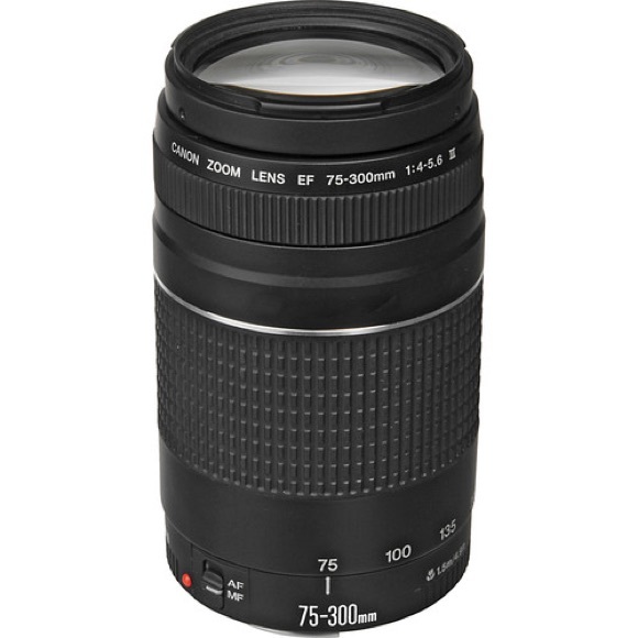 BRAND NEW Cannon DSLR Lens 75-300mm III - Picture 15 of 16